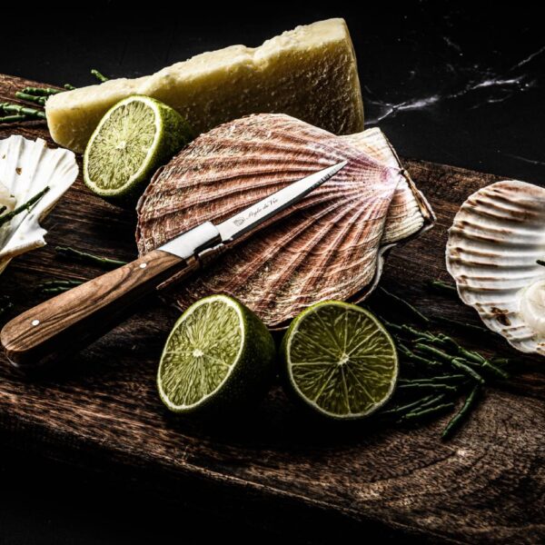 Oyster gift set olive wood