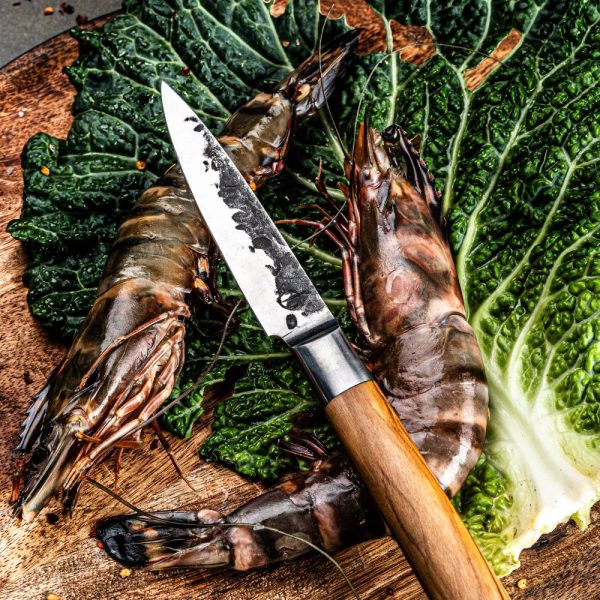 Forged Olive Utility Knife