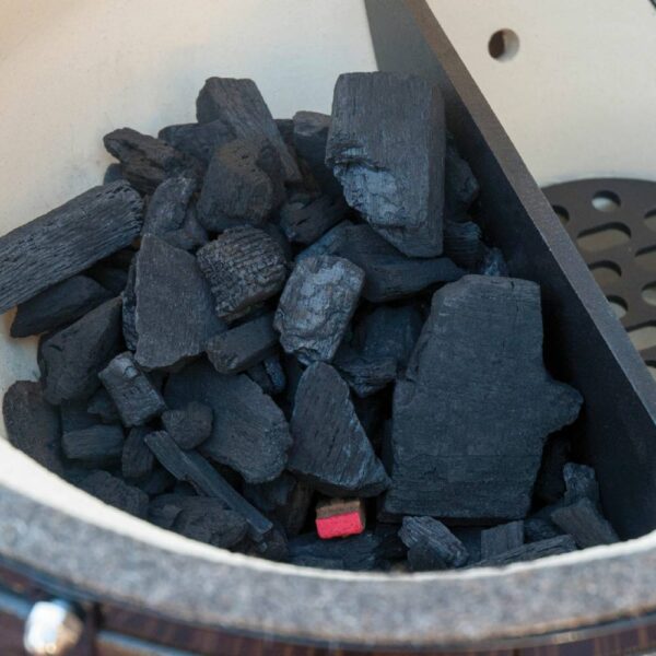 Primo BBQ ceramic Grill luxury outdoor oven