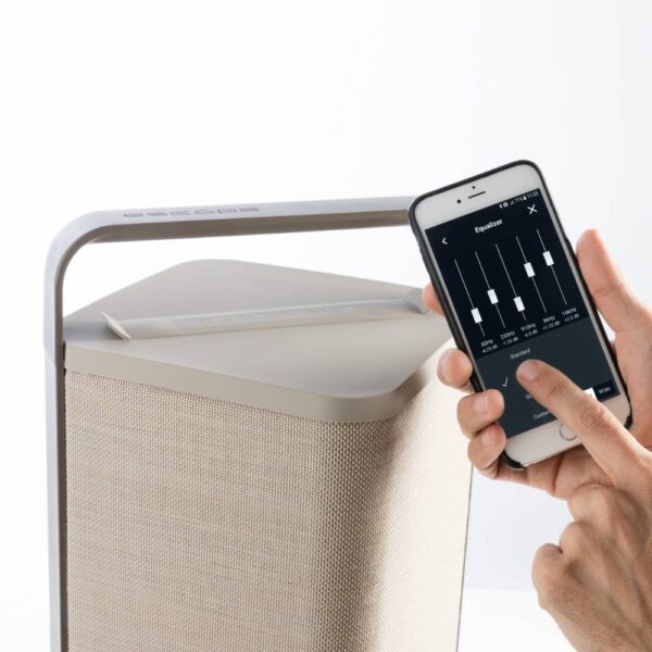 Escape P9 Speaker outdoor luxury speakers