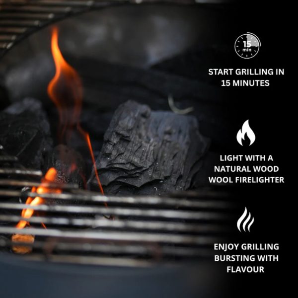 Globaltic 10KG Lumpwood Charcoal