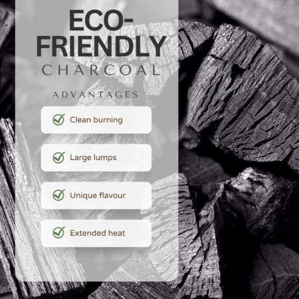 Globaltic 10KG Lumpwood Charcoal